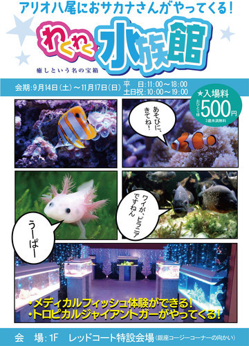 【9/14（土）～11/17（日）】わくわく水族館