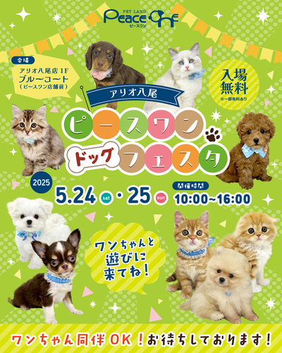 ピースワン2025.5