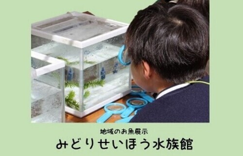 みどりせいほう高校