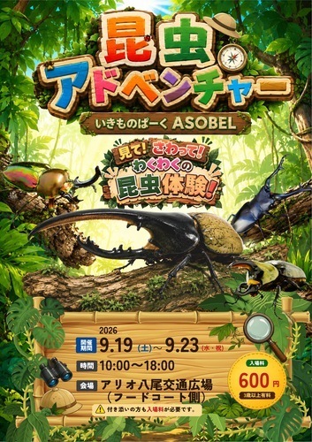 9/19~9/23　昆虫