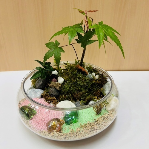イメージ画像