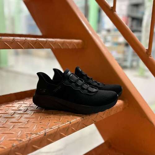 25073102