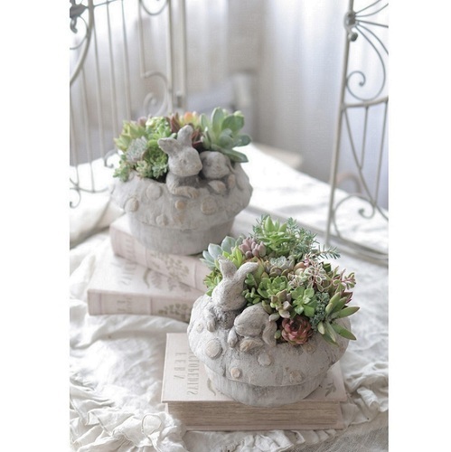 ✳︎初売り.新春特別価格✳︎多肉植物そのまま飾れる.市販の陶器スニーカー 399591_720x.jpg