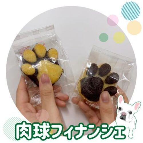 肉球フィナンシェ販売中！