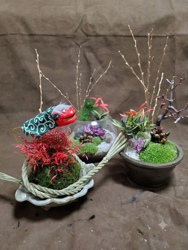 《秋　特別講座》「伊勢の苔を使った苔玉作り(全1回)」