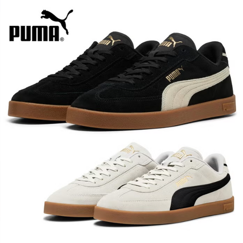 26081001