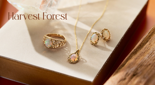 秋の新作『Harvest Forest』が登場！