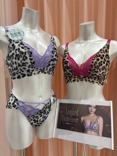 💗グラマラスサイズ新作入荷&新作デザインショーツ💗